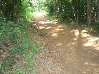 IMG_3703.jpg