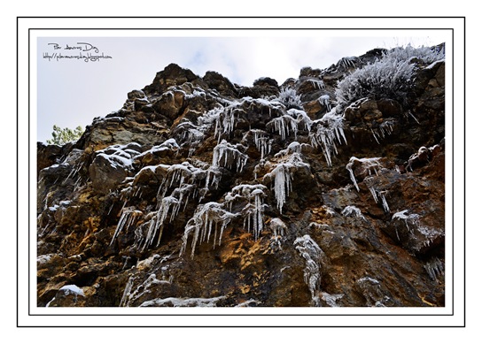 Hielo