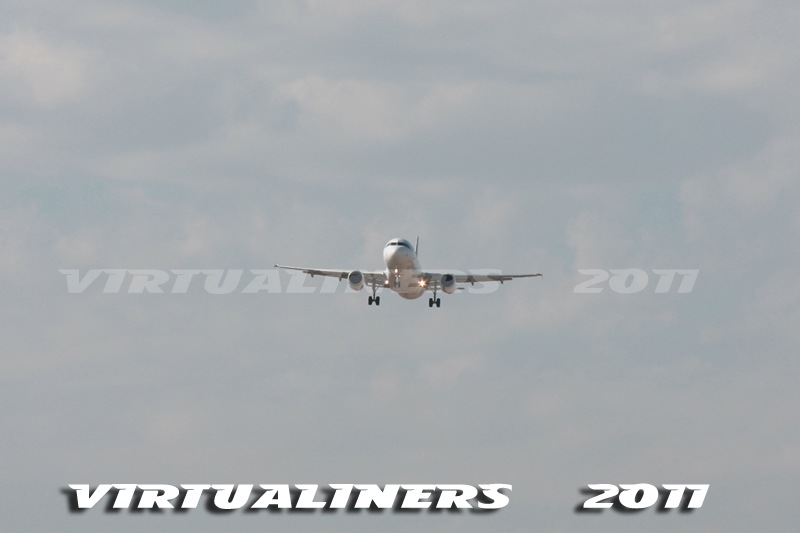 [SCEL_V240C_0014-Thunder[2].jpg]