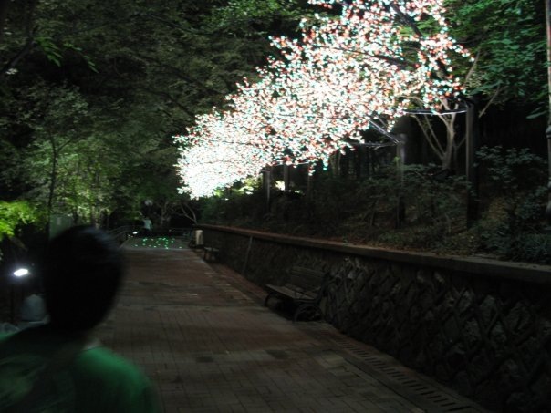 [10422_138679813636_638588636_2478803_5324453_n[2].jpg]