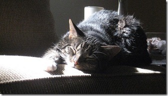 IMG_1031[4]