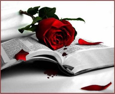 El amor, rosa y un libro abierto con goticas de sangre