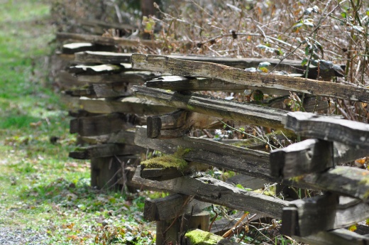 fence.jpg Fence