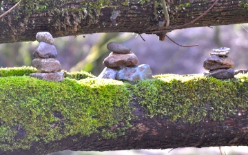 DSC_0347.jpg DSC 0347