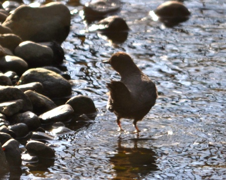 DSC_0348.jpg DSC 0348