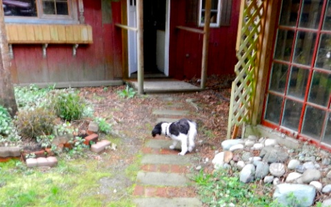 DSCN8875.jpg DSCN8875