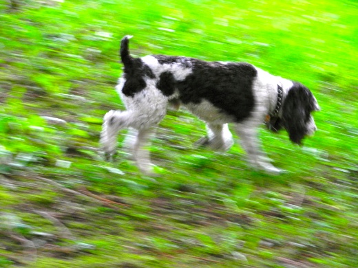 DSCN8877.jpg DSCN8877
