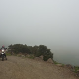im Nebel