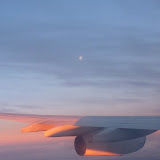 Good bye New Zealand