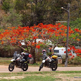 Endstation Cooktown