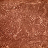 der Affe