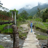Valle de Cocora bei Salento