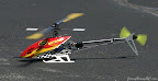 RC_8578.jpg