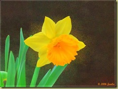!cid_967723ED-E020-41CC-A06B-F183CA978945