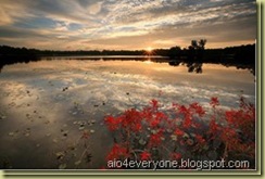 photos-49_thumb[3]