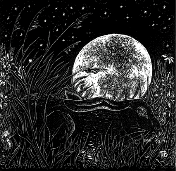 Tom Boulton - Hare And The Moon