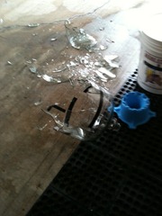 BrokenCarboy BrokenCarboy