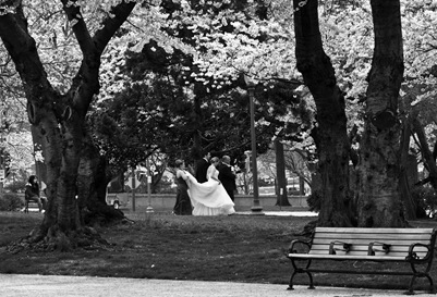 Wedding at the Capitol small