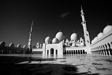 7 SAHN BW 7 SAHN BW