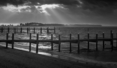 Rays on the Patomac - Piney Point Rays on the Patomac - Piney Point