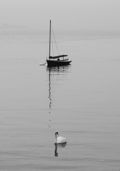 Swan and Sailboat in the Mist - 1