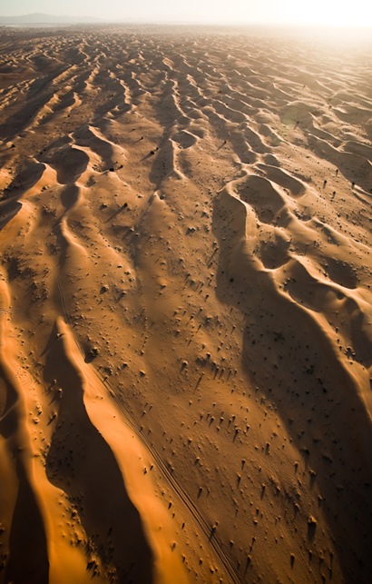 Desert Tracks