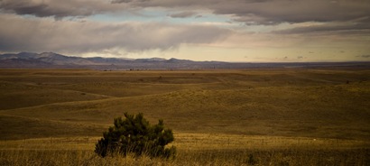 Plain at Boulder CO