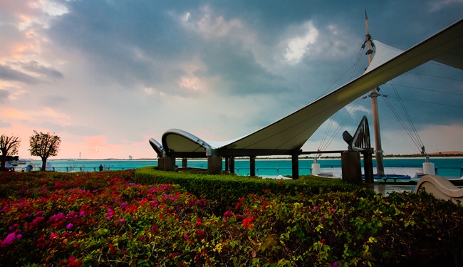 Corniche Flowers Tone Compressed Corniche Flowers Tone Compressed