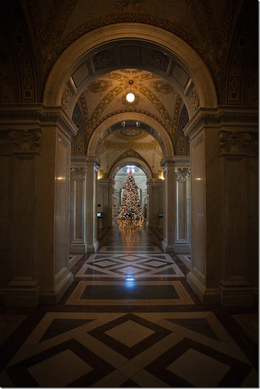 Library of Congress Christmas Tree-5