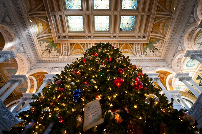 [Library of Congress Christmas Tree-4[4].jpg]