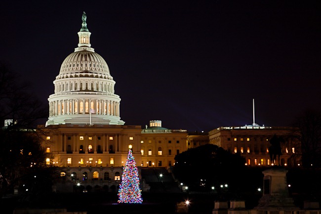 [Capitol Christmas Tree at Night[4].jpg]