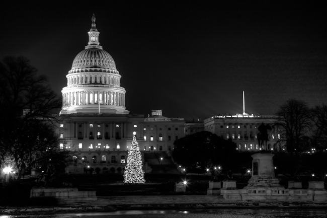 [Capitol Christmas Tree at Night BW[4].jpg]