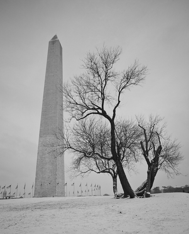 [Washington Monument and Barren Tree[4].jpg]