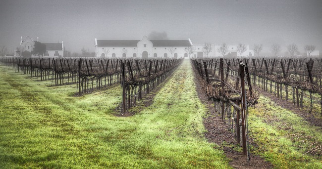 Winery in the Fog