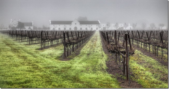 Winery in the Fog