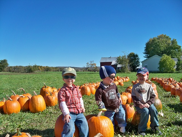 [fall 2010 007[2].jpg]