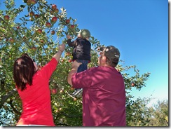 fall 2010 059