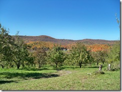 fall 2010 081