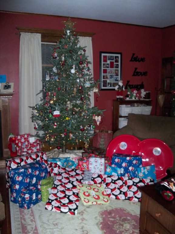 [Christmas-2010-0013.jpg]