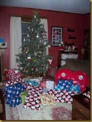 Christmas 2010 001