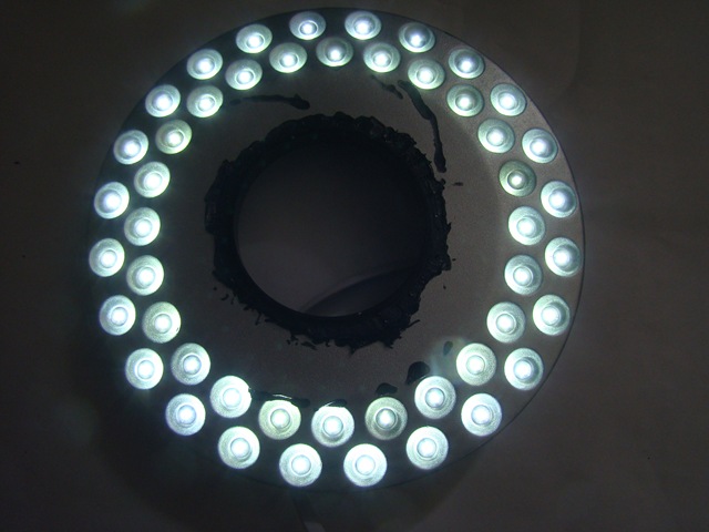 [ringlight1452.jpg]