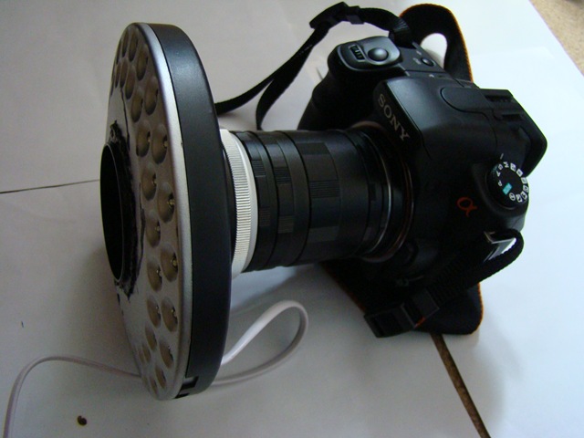 [ringlight1472.jpg]