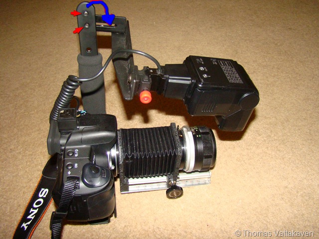 [DSC00040mod22.jpg]