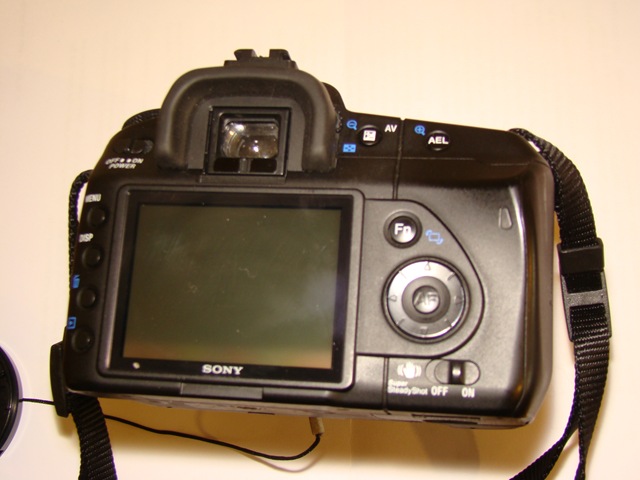 [DSC00253[2].jpg]