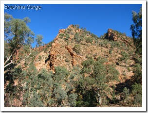 IMG_6677 IMG_6677