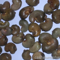 Cashew declines on subdued demand