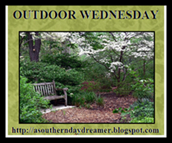 [outdoor wednesday[2].png]
