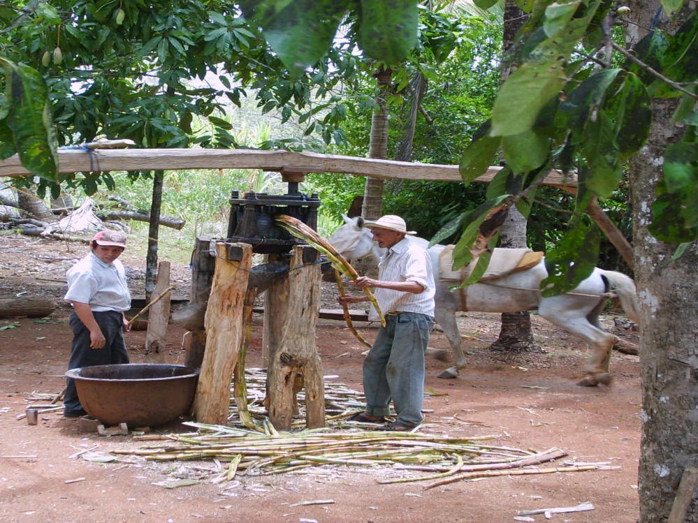 [Typical-sugar-cane-press[3].jpg]