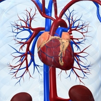 Post image for Preventions of Heart Disease