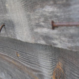 Stubbornly Curious